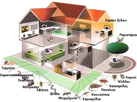 ΑΛΦΑ ΑΠΟΛΥΜΑΝΤΙΚΗ LG